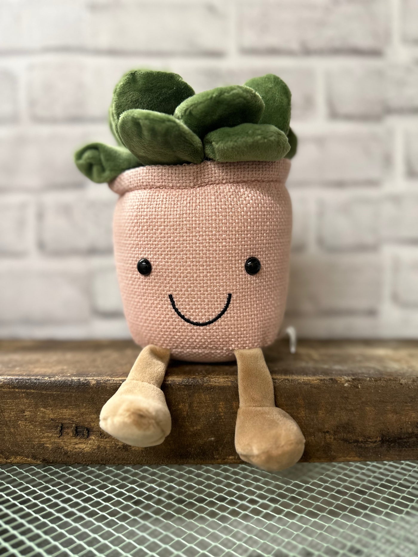 Plush Stuffed Succulent Plant- Pink