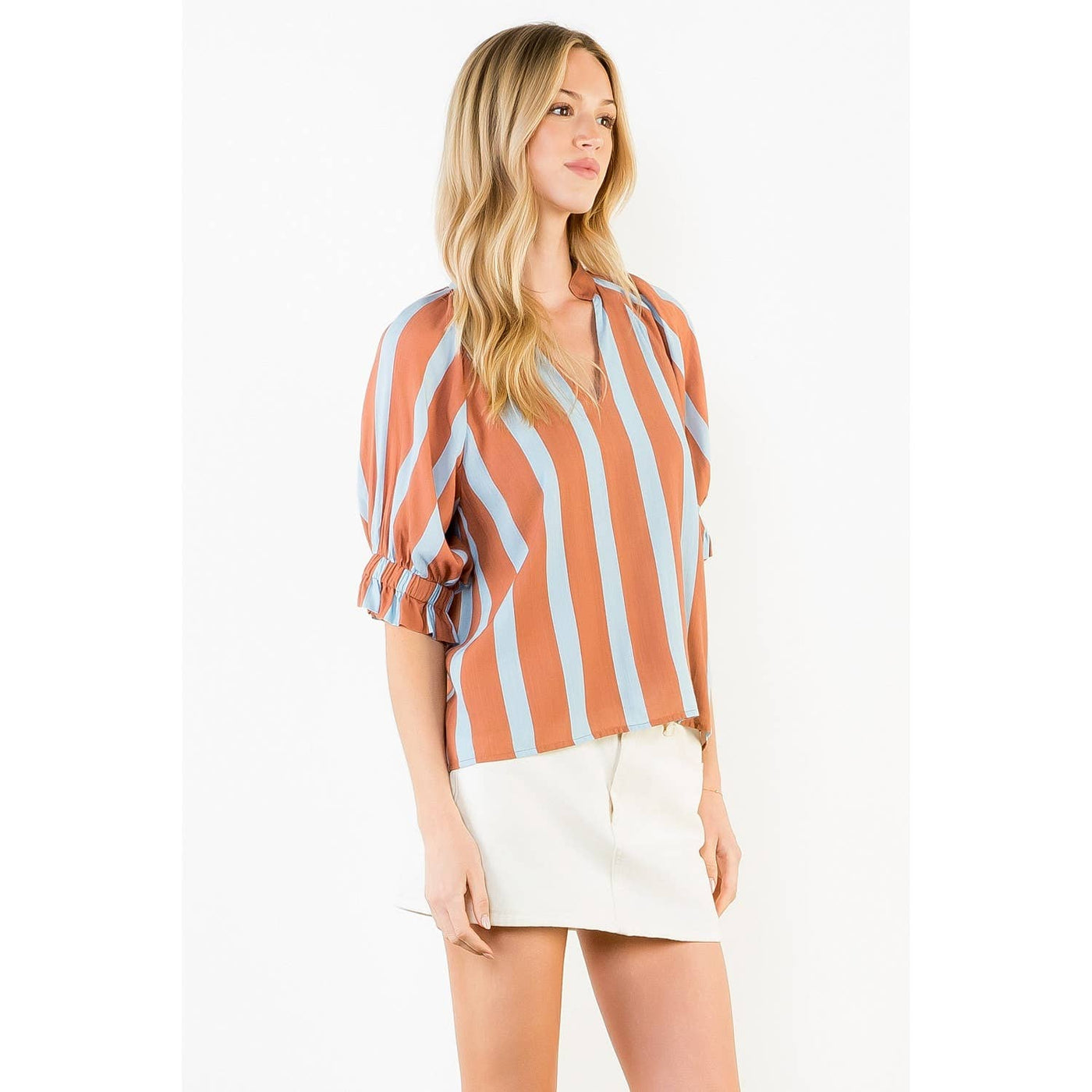 Brown/Blue  V-Neck Top
