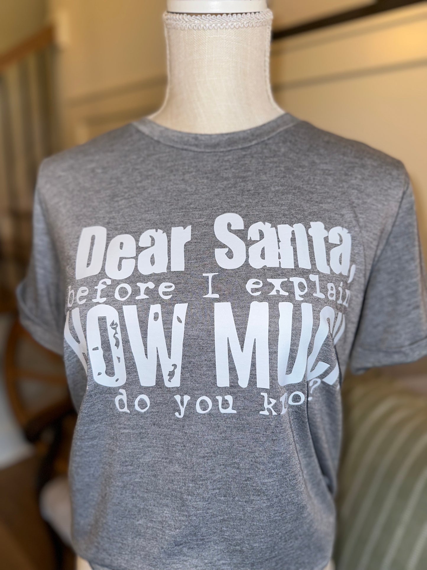 Dear Santa Tee- Gray