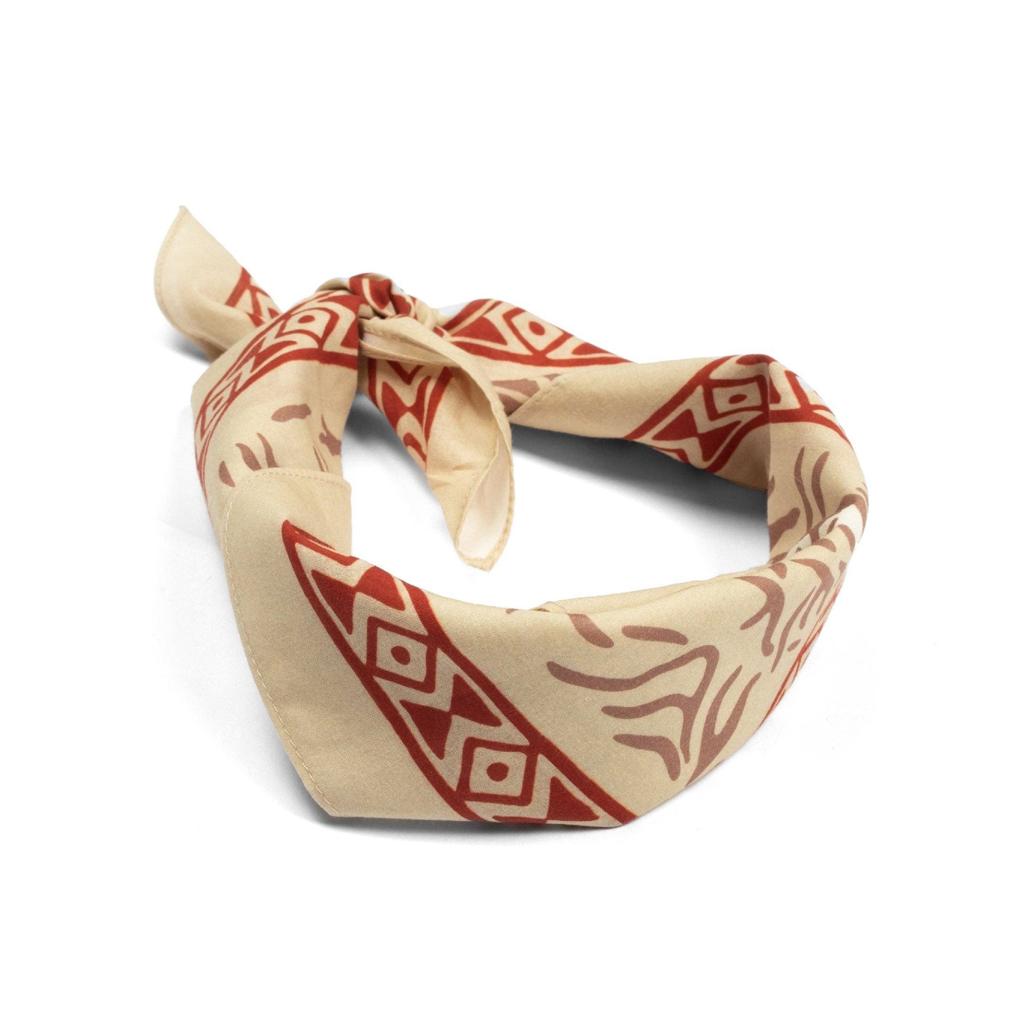 Desert Flush Bandana - Mercantile213