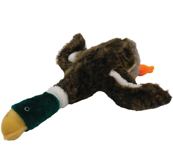 Local Boy Duck Dog Toy - Mercantile213