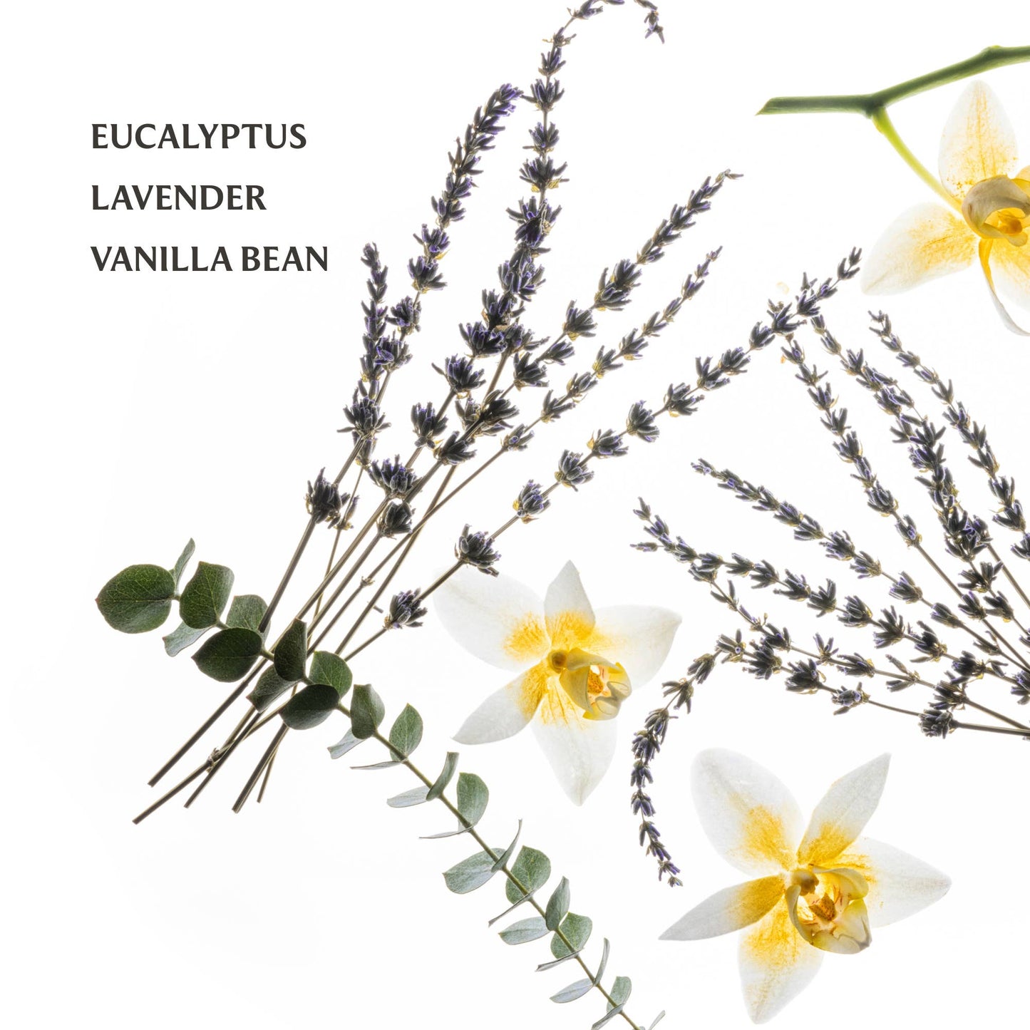 Pure Lavender Power Mist Hydrating Hand Sanitizer - Mercantile213