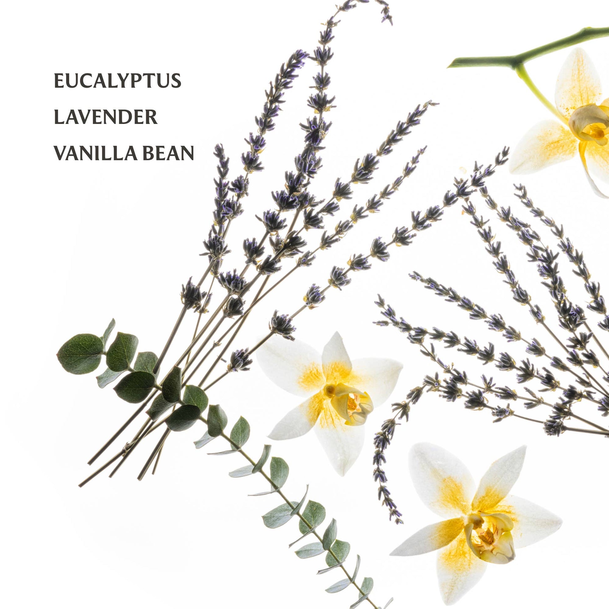 Pure Lavender Power Mist Hydrating Hand Sanitizer - Mercantile213