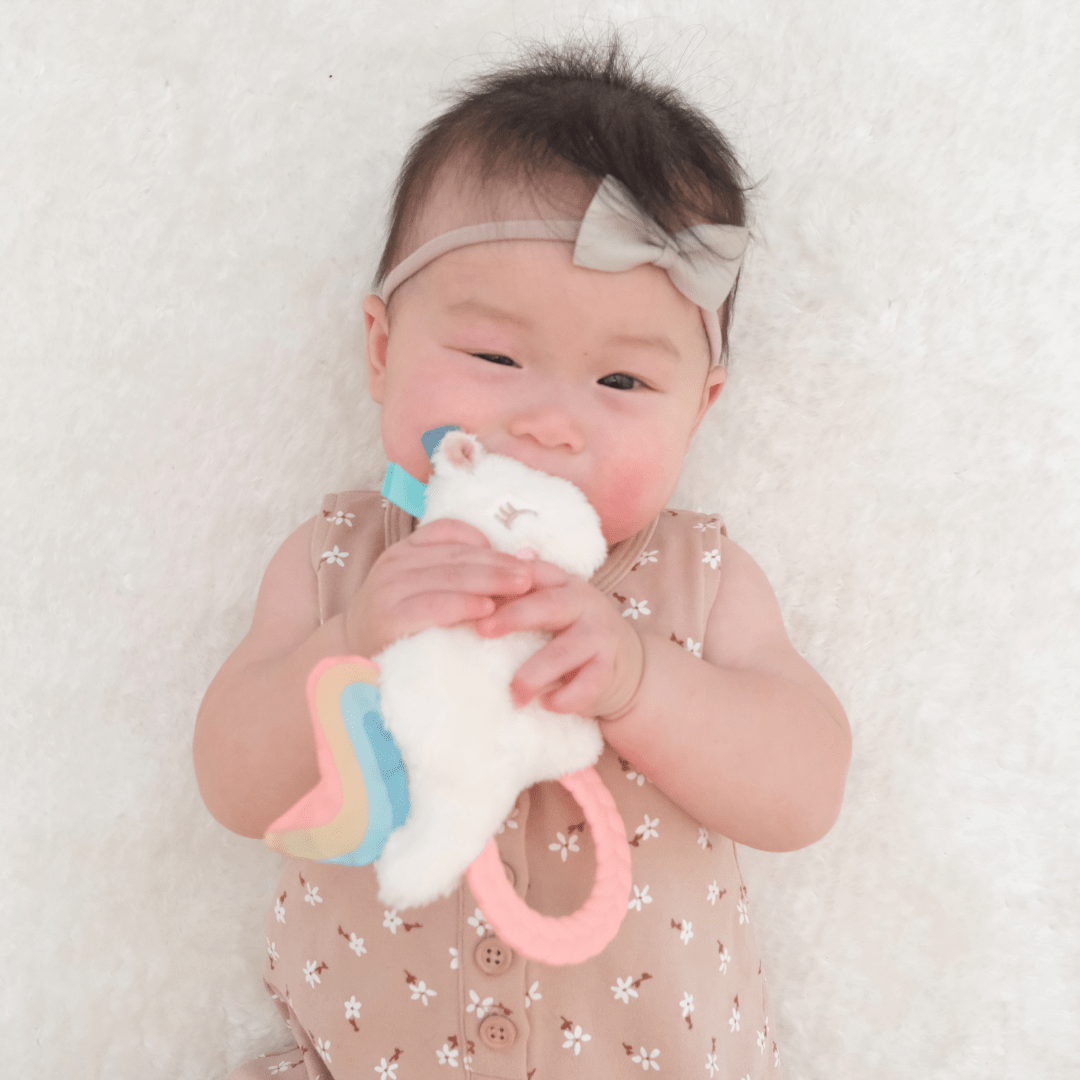 Ritzy Rattle Pal™ Plush Rattle Pal with Teether: Koala - Mercantile213