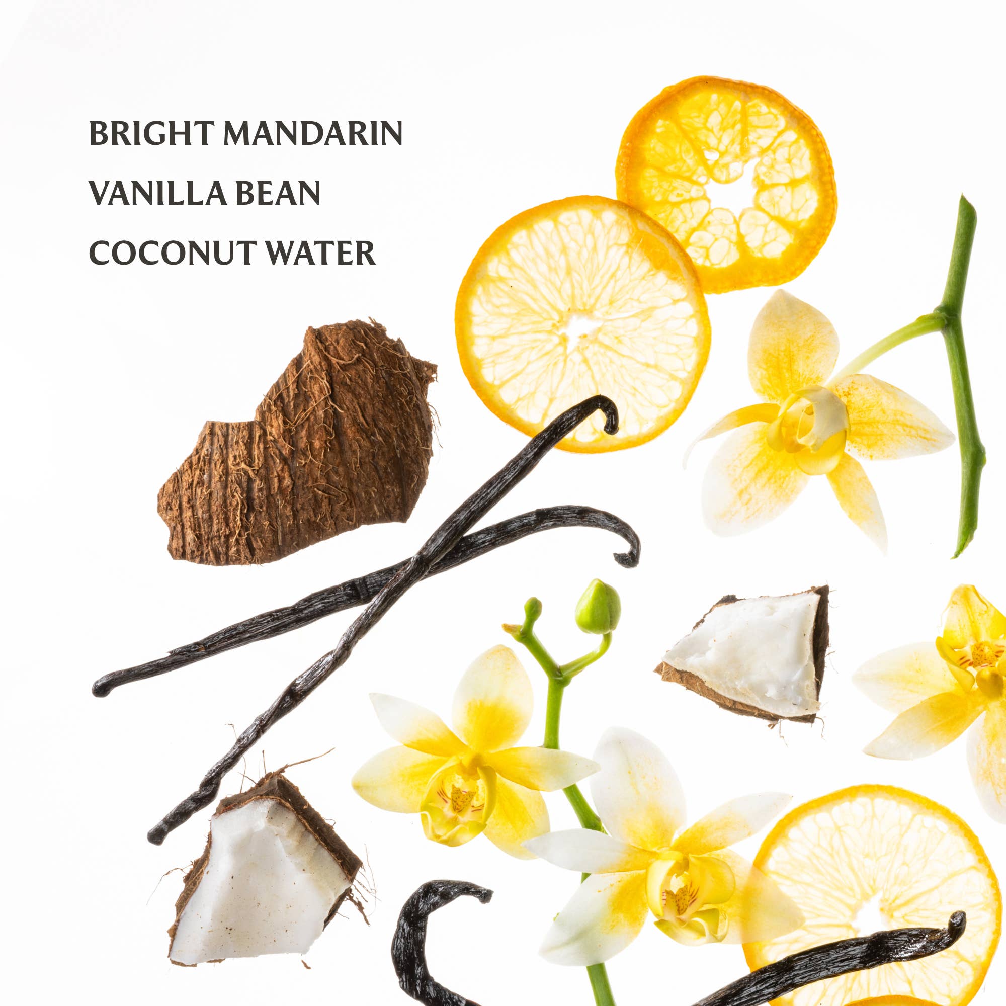 Vanilla Blossom Power Mist Hydrating Hand Sanitizer - Mercantile213